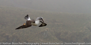 2011 Antarctica Expedition